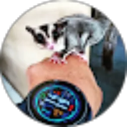 Review From Sanny Psaykho