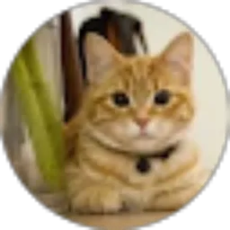 Review From Silvi Ika Saputri