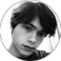 Review From Harllen Lebang