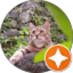 Review From kucing timmy