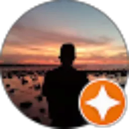 Review From Fenansius De Postel