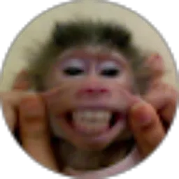 Review From rocky alexander