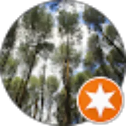 Review From Ikhtiari Triza