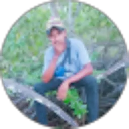 Review From Nando Moffers