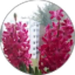 Review From Mukti Trenggono