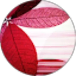 Review From Lhonis Lhonis (Black Green)