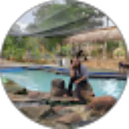 Review From Ryannie Deasy