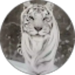 Review From Plukaran Channel