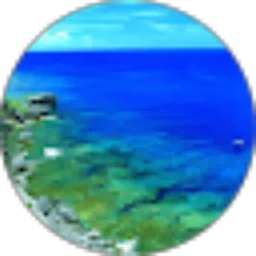 Review From Niki Cahkediri