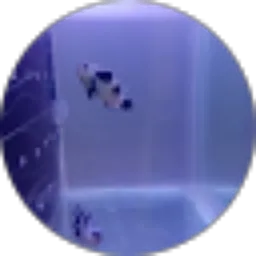 Review From Endy Hobs