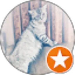 Review From imam hanafi