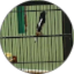 Review From slamet yulianto