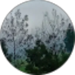 Review From Ade Komariah