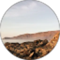 Review From Ubi