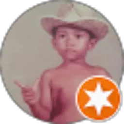 Review From Tani Romdani