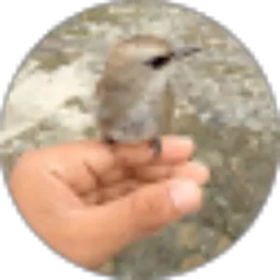 Review From Muhammad Hidayad