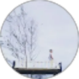 Review From Muhammad Fadli