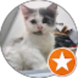 Review From Syamil Muzzaki hammam