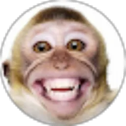 Review From Yudha Copa200