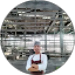 Review From M AGUS Nugroho