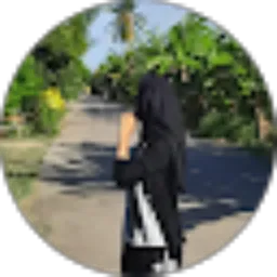 Review From stupid human