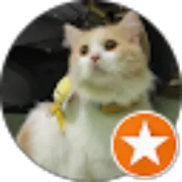 Review From Tya Rachmaa