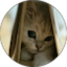 Review From Chatarina Anggih