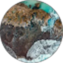 Review From Andre Aditya Manalu