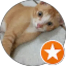 Review From Dian Nadia