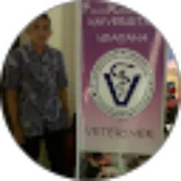 Review From I WAYAN SUARNATA