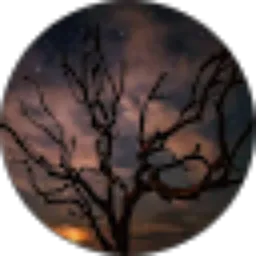 Review From Alfon Christoper