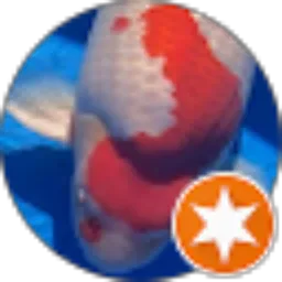 Review From Rio Anis illahi