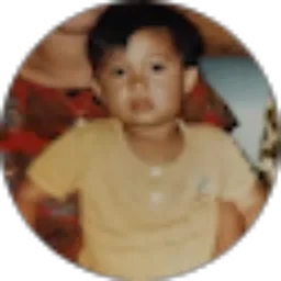 Review From Wink 182