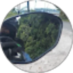 Review From Ali Akbar