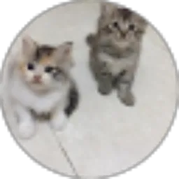 Review From Yudi0115