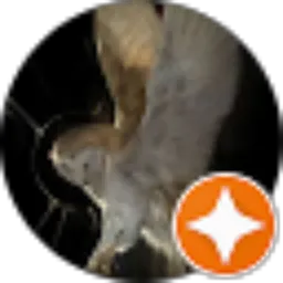 Review From Reza