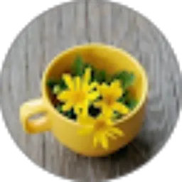 Review From Rahmi Asyari