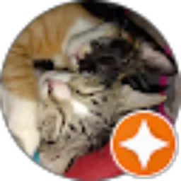 Review From Annisa Nazmi Azzahra