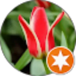 Review From Aisyah Permata