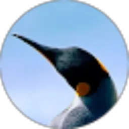 Review From Mokhamad