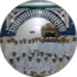 Review From panti asi