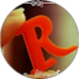 Review From The Rini