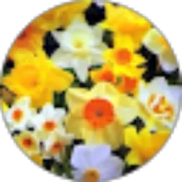 Review From Dhea Alloq