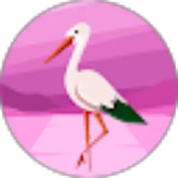 Review From Mus Musda