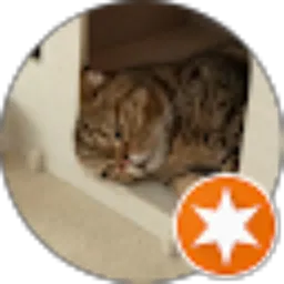 Review From Riza Armadi