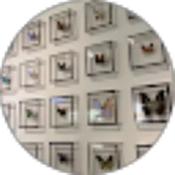 Review From audia sevi