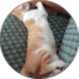 Review From miming chanel