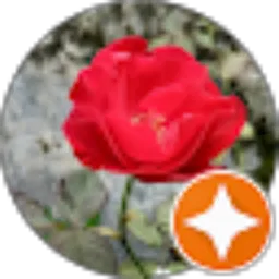 Review From Village people