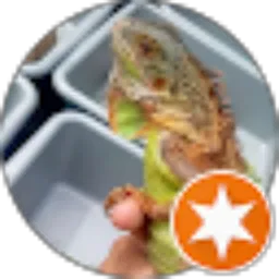 Review From Angel Emorolof