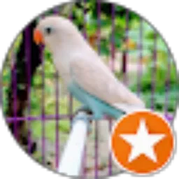 Review From kataturi channel